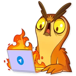 😨 4cba1f3d owl, laptop, fire, animal, cartoon telegram sticker