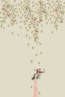 😊 6431e0cf feuilles, jambes, nature, chute, arbre, pommes, plante, art telegram sticker