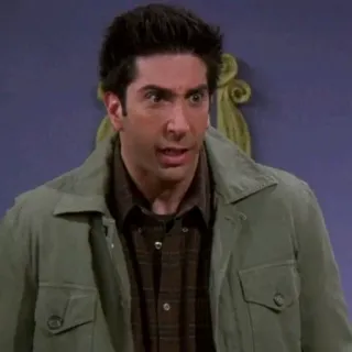😳 e4d6f6c7 Ross Geller Friends Ross Geller, Friends, sitcom, série TV, David Schwimmer, drôle, comédie telegram sticker