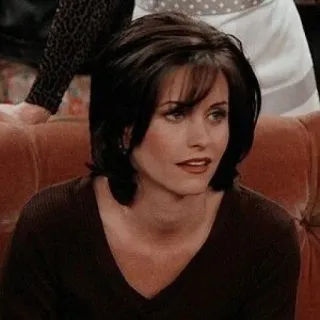 🐚 979f6185 Monica Geller Friends tv show, 90s, sitcom, courteney cox telegram sticker