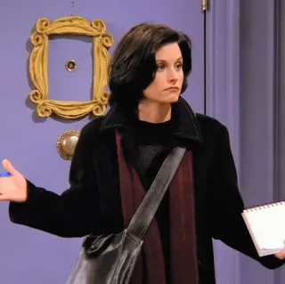 🤷‍♂️ 26251610 Monica Geller Friends tv, personaggio, monica, geller, sitcom, donna whatsapp sticker