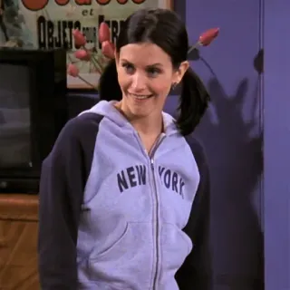 😯 34f18c88 Monica Geller Friends NEW YORK serie tv, personaggio, sorridente, donna, felpa con cappuccio whatsapp sticker