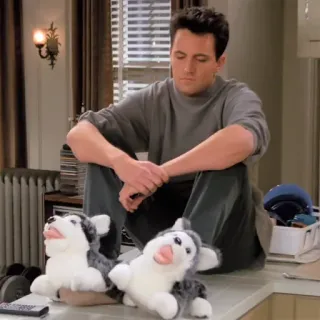 😕 e7b14dad Chandler Bing Friends seduto, triste, peluche, pantofole cane whatsapp sticker