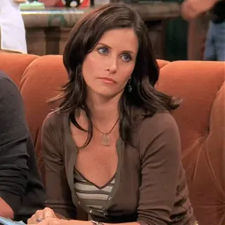 🤨 cde06ed1 Courteney Cox Friends 커트니 콕스, 모니카 겔러, 프렌즈, TV 프로그램, 여배우 telegram sticker