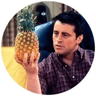 🍍 0fdb1bfa Joey Tribbiani Friends 乔伊, 老友记, 情景喜剧, 菠萝, 角色 telegram sticker