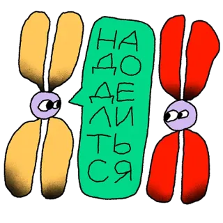 👨‍👩‍👧‍👦 497b5935 НА
ДО
ДЕ
ЛИ
ТЬ
СЯ cartoon, abstract, talking, russian, sharing, division whatsapp sticker