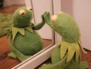 😋 6709a234 Kermit カーミット, パペット, 反射, ミーム, マペッツ, カエル, 鏡 whatsapp sticker