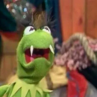 Жабья милота✨ whatsapp stickers