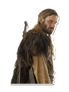 😑 47ea3d6f man, sword, fur, warrior, beard telegram sticker
