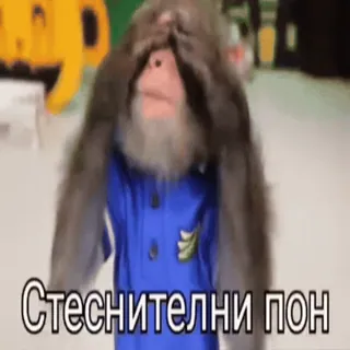 🌟 0f6f2ece Стеснителни пон aap, schattig, grappig, dier, cartoon telegram sticker