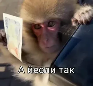 🤨 106d1640 А йесли так aap, geld, russisch, valuta telegram sticker