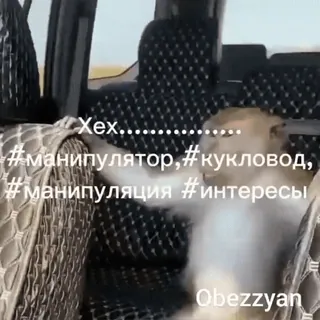 🌟 1b552396 Хех...........
#манипулятор,#кукловод,
#манипуляция #интересы aap, manipulatie, interesses, dier, tekst, binnen, poppenspeler, schattig telegram sticker