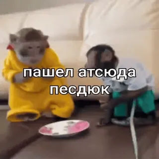 🤬 22947be7 пашел отсюда пездюк aap, beledigende taal, scheldwoord, dier telegram sticker