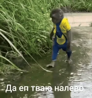 🌟 2f758e43 Да еп тваю налево aap, zin, russisch, dier, kleding, water telegram sticker