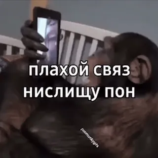🙉 65f93bb4 ПЛАХОЙ СВЯЗЬ НИслищУ ПОН aap, telefoon, russisch, slechte verbinding, meme telegram sticker