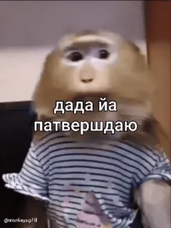😀 a12cafeb дада йа патвершдаю aap, dier, meme, grappig, bevestigend, ja telegram sticker
