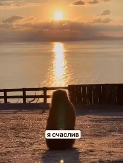 🥹 b05af25d Я счастлив blij, zonsondergang, zee, geluk, lucht, wolken telegram sticker