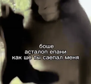 😁 b70e3064 боше
асталоп епани
как ше ти саепал меня aap, aanstootgevend, russisch, meme telegram sticker