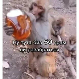 🍺 c858c82d Ну тута биз 50 грам ни разобраться aap, bier, drinken, humor telegram sticker