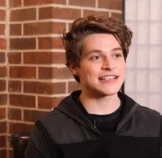 🛋 18813bbd person, portrait, man, hoodie, young telegram sticker