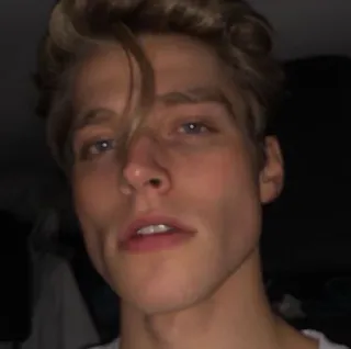 🛋 f0083e6d man, face, portrait, blonde, male telegram sticker