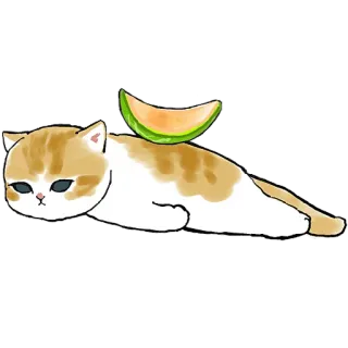 🥝 6b00ea51 猫, 瓜, 可爱, 动物, 宠物, 食物, 水果 telegram sticker