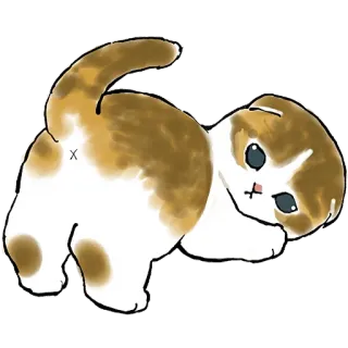 🍑 e0ab68a2 猫, 动物, 小猫, 可爱, 宠物 telegram sticker