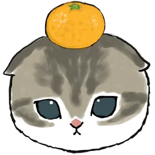 🍊 e971fcd8 猫, 橘子, 小猫, 水果, 可爱, 动物 telegram sticker