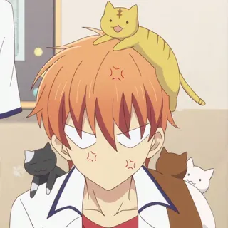 🐱 91c878b4 Kyo Sohma Fruits Basket Anime, Karakter, Kyo Sohma, Fruits Basket, Marah, Lucu, Kucing telegram sticker