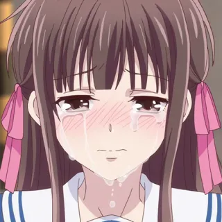 🎀 fc54a647 Fruits Basket anime, menangis, sedih, gadis, air mata, emosional, Fruits Basket telegram sticker