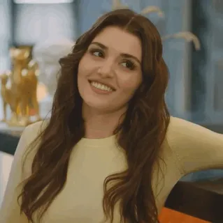 🐾 54b83cd3 mujer, sonrisa, morena, retrato, persona, feliz telegram sticker