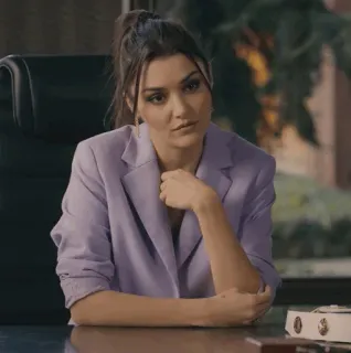 🐾 5d6a8c24 mujer, negocios, oficina, retrato, profesional telegram sticker