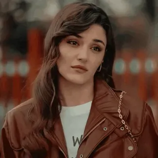 🐾 81b7d52d telegram sticker