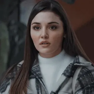 🐾 f6379e87 telegram sticker