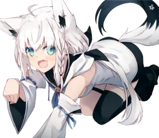 🐈 ab1f2ef1 telegram sticker