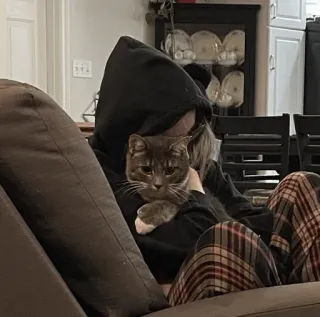 🧊 2a885021 猫, 宠物, 动物, 家畜, 人, 帽衫 telegram sticker