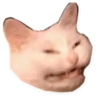 😝 1f1dbd9b 猫, ミーム, 動物, 面白い, ネット, ペット, 表情, 気分 whatsapp sticker