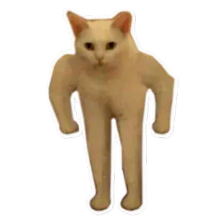 😤 4df1c569 猫, 動物, 面白い, ミーム, 強い, 筋肉 whatsapp sticker