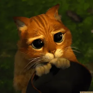 🥺 84f52bda Puss in Boots Shrek chat, mignon, animé, le chat potté, Shrek, Dreamworks telegram sticker