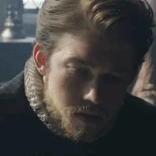 🍂 8428012e 男人, 历史, 肖像, 男性, 脸, 胡子 telegram sticker