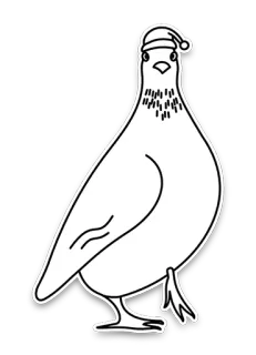 🎄 3246c8a7 비둘기, 새, 크리스마스, 모자, 동물, 겨울 telegram sticker