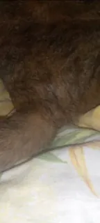 🍑 13620ef1 telegram sticker