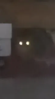 👀 6bfa1710 telegram sticker