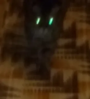 🚶‍♀ d8764652 telegram sticker