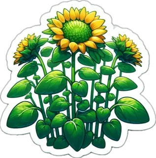 🌱 375a92ba girasole, fiore, floreale, natura, pianta, foglie, botanico telegram sticker