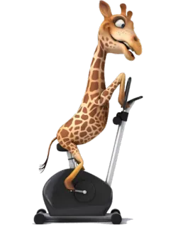 😫 b447eea6 жираф, упражнения, велосипед, фитнес, животное, мультфильм telegram sticker