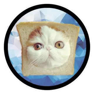 🍎 398a9ff2 gatto, pane, toast, animale, animale domestico, divertente telegram sticker
