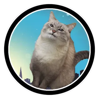 🤔 448cf70e gatto, skyline, città, animale, carino, gatto domestico telegram sticker