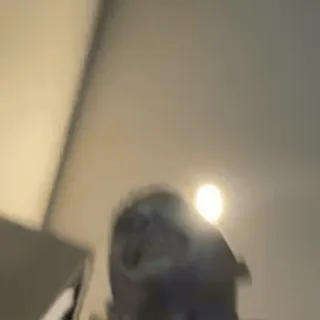 😂 5c009f3c telegram sticker