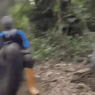 🕺 1b42dc88 telegram sticker